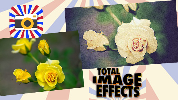 TOTAL IMAGE EFFECT – REVIEW