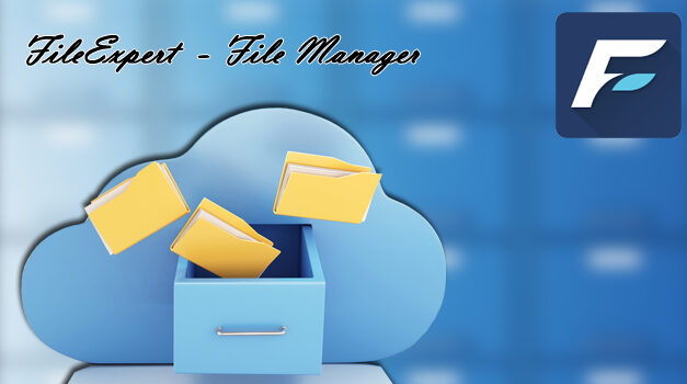 FILE EXPERT – REVIEW