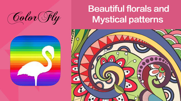 COLORFLY – REVIEW