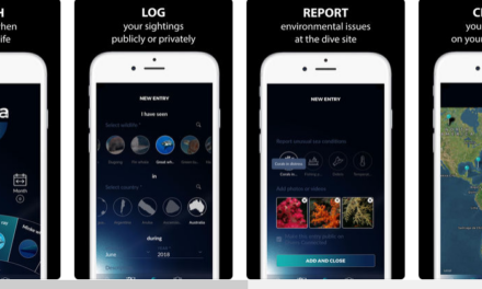 Introducing Scuba Calendar, an app for all of your diving related needs!