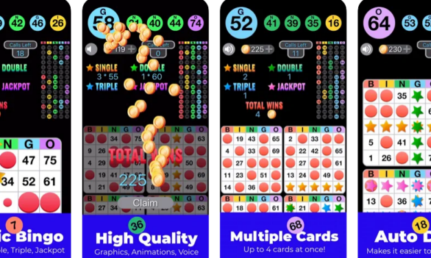 Exciting and unpredictable gaming application– Bingo Play